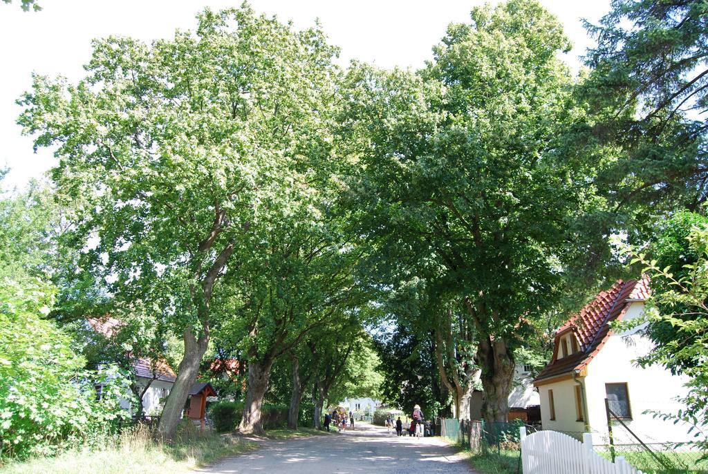 Ferienwohnung Auf Hiddensee Im Ort Kloster Exterior photo